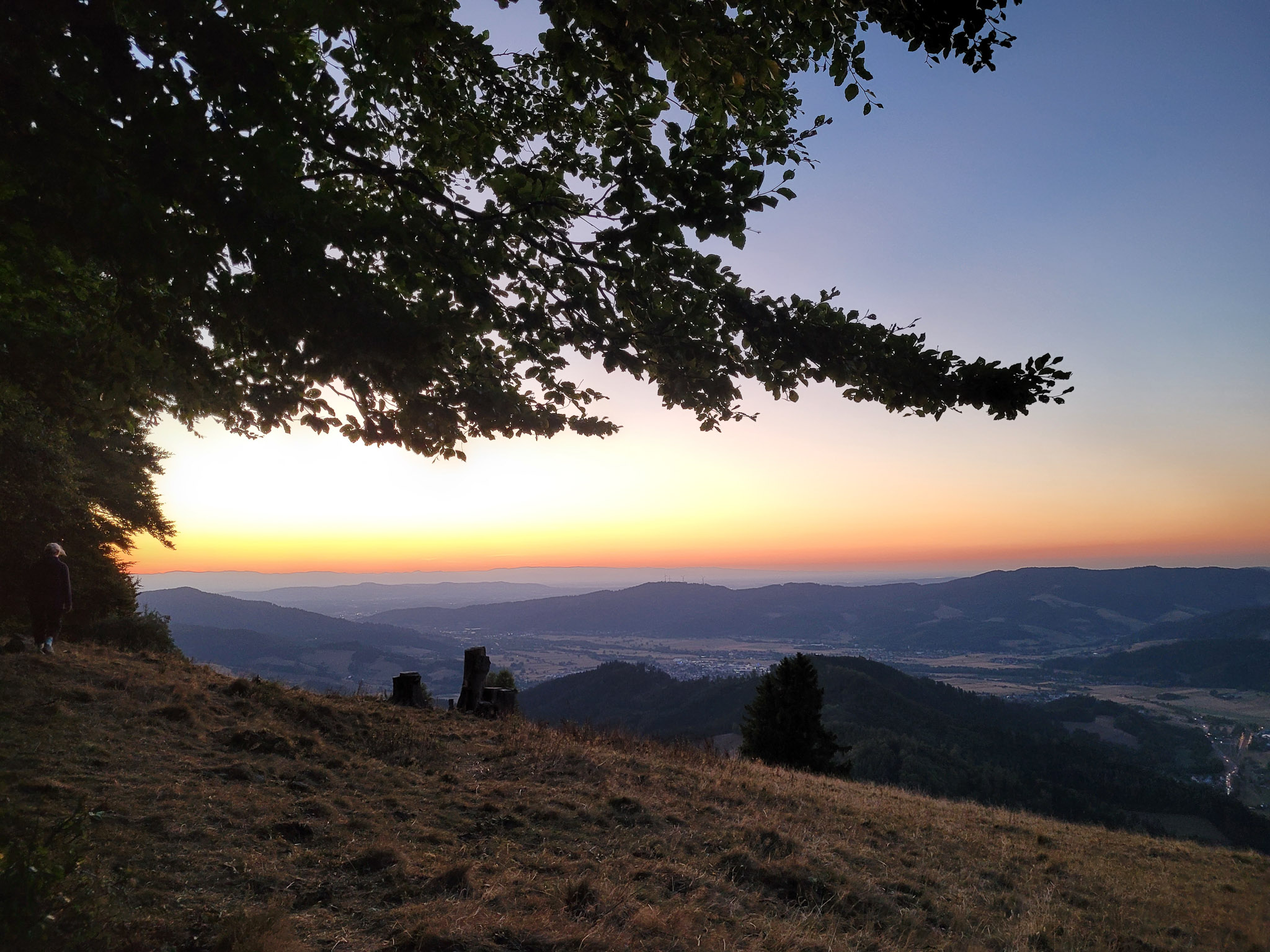 20220813210638 20220813 210638